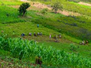 ‘Hunger Never Leaves Us’: Conflict Leads to Starvation in DRC