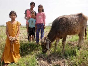He’s a Teen With Homework, but in Nepal He’s Also Head of His Household