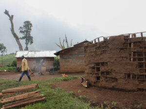 A Fight for Land in the Shadow of a Ugandan Mountain
