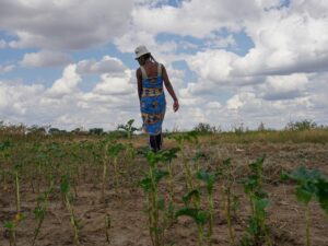 Can Zimbabwe’s First ‘Open Prison’ for Women Open Doors to a New Life?
