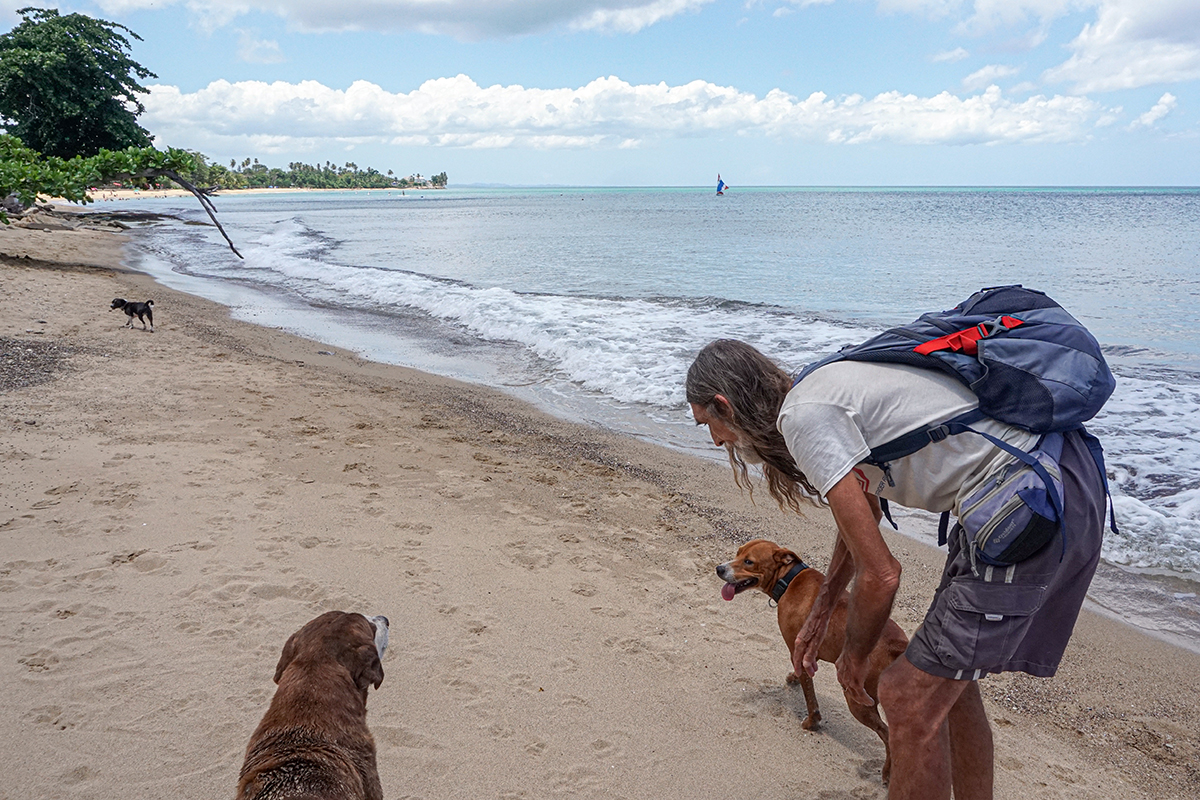 New Developments in Popular Puerto Rican Tourist Area Overwhelm Sewer Infrastructure, Threaten Endangered Coral Reefs