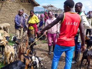 After Years of Conflict, Dialogue Begun To Set DRC Region on Path to Peace