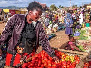 Widespread Hunger Likely as Farmers, Consumers Struggle with Drought