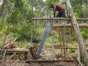 Farmers Confront Dangerous Impact of Deforestation