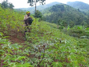 Coronavirus Fears Drive Rural Residents to Camp in Fields