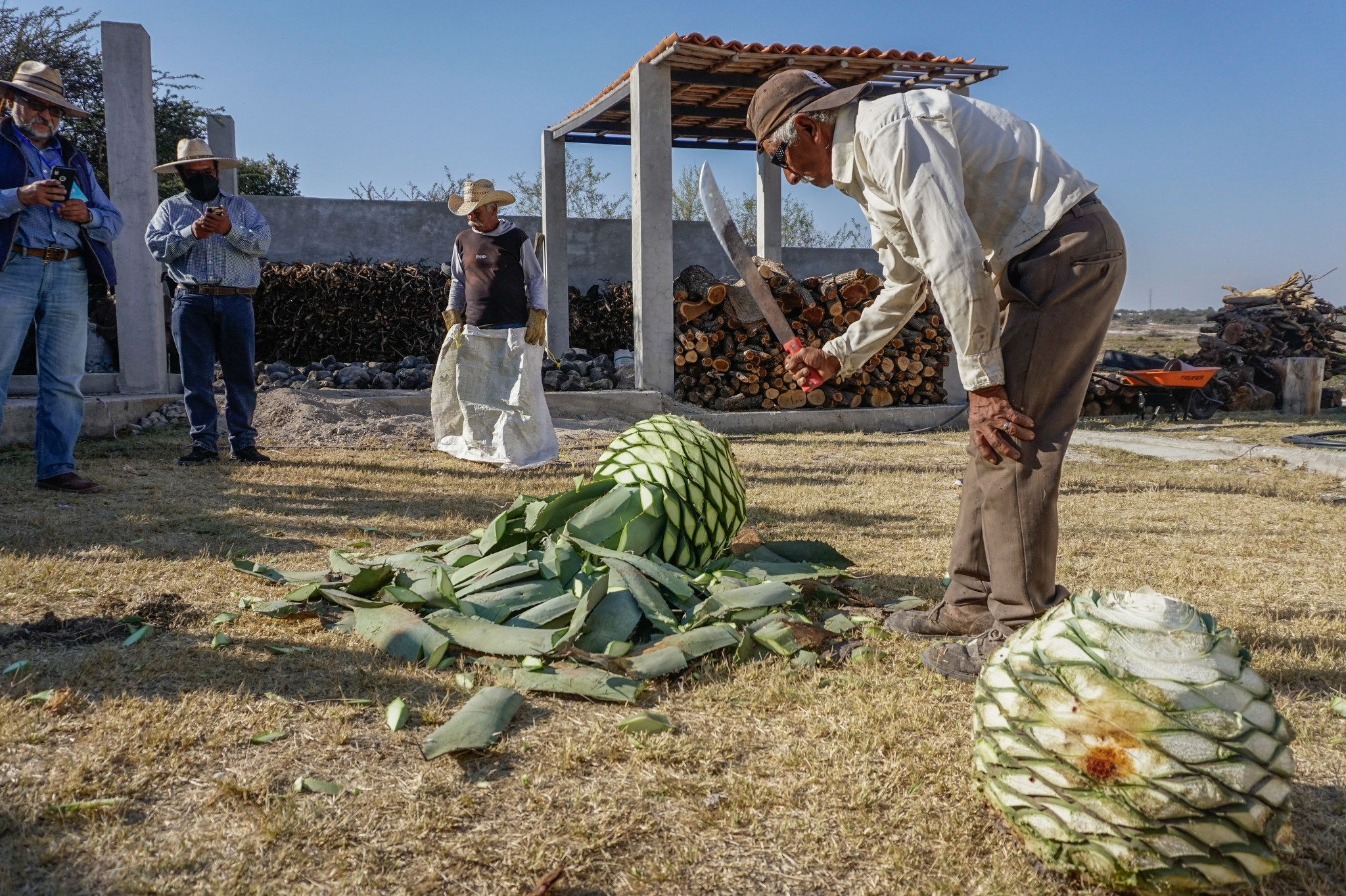 Mexican Mezcal Workshop Focuses on Sustainability