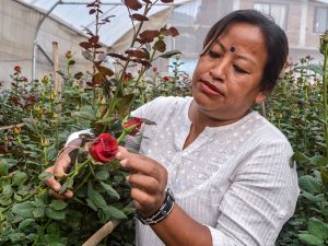 As Youth Flee Nepal for Work, Government Encourages Entrepreneurship at Home