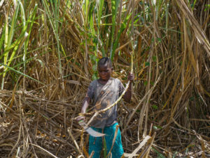 For Many, Hard Labor Takes the Place of Homework