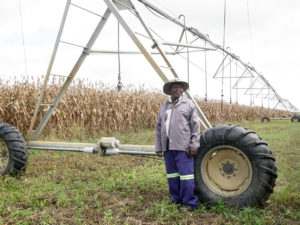 Benefit or Burden? A Farming Program’s Mixed Results