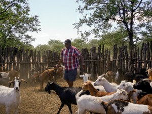 Indigenous Residents Could Be Forced From Land