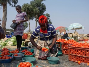 Pandemic Offers Surprising Opportunity for Farmers