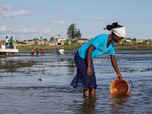 Water Crisis Dampens Dreams in New Suburbs